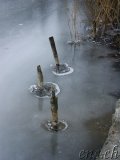 Seegfrörni Triechter Sursee 