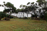 Kohala