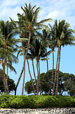 Puako Beach