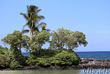 Puako Beach