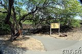 Petroglyphs @ Puako