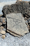 Petroglyphs @ Puako