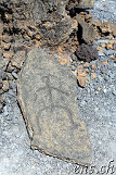Petroglyphs @ Puako