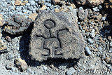 Petroglyphs @ Puako