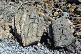 Petroglyphs @ Puako