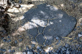Petroglyphs @ Puako