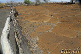 Petroglyphs @ Puako