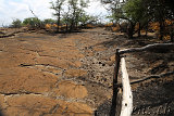 Petroglyphs @ Puako
