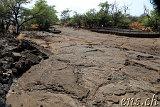 Petroglyphs @ Puako