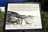 Laupahoehoe Point