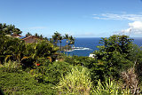 Laupahoehoe Point
