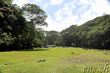 Kolekole Beach Park