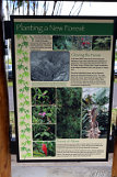 Akaka Falls