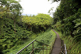 Akaka Falls