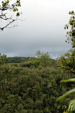 Akaka Falls