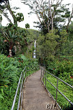 Akaka Falls