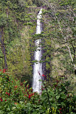 Akaka Falls