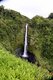 Akaka Falls