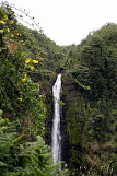 Akaka Falls