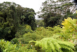Akaka Falls