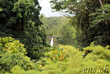 Akaka Falls