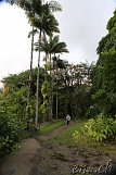 Rainbow Falls