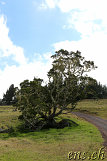 Mauna Kea Offroad