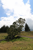 Mauna Kea Offroad