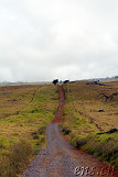 Mauna Kea Offroad
