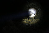 Lavahöhle bei Waikoloa