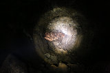 Lavahöhle bei Waikoloa