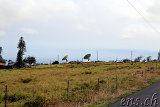 Ka Lae (South Point)