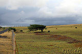Papakolea Beach (Green Sands - Mahana Beach)
