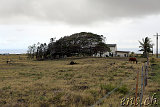 Papakolea Beach (Green Sands - Mahana Beach)