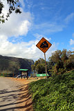 Waipio-Beach