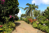 Waipio-Beach