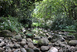 Waipio-Beach