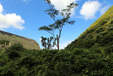 Waipio-Beach