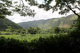 Waipio-Beach