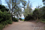 Waipio-Beach