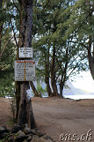 Waipio-Beach