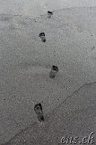 Waipio-Beach