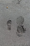 Waipio-Beach