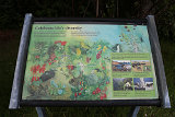 Richtung Volcano Park