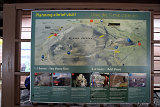 Volcano Park