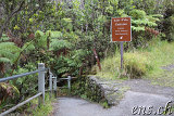 Thurston Lava Tube (Nahuku) - Volcano Park