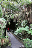 Thurston Lava Tube (Nahuku) - Volcano Park