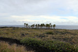 Chain of Craters Road - Volcano Park