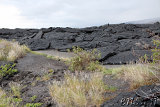 Chain of Craters Road - Volcano Park