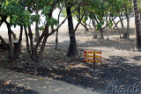 Spencer Beach Park